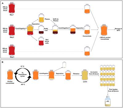 Scalable Production of Equine Platelet Lysate for Multipotent Mesenchymal Stromal Cell Culture